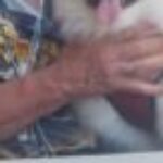 Profile photo of pintorflamaneco